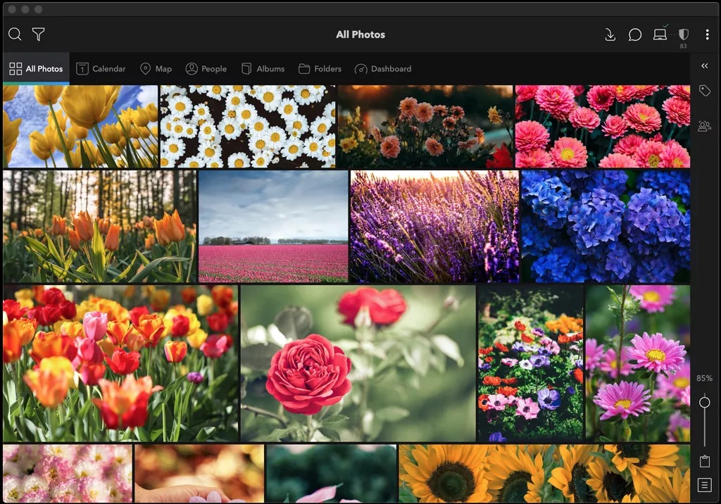 Mylio photo manager home screen